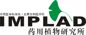 logo-21353056993.png