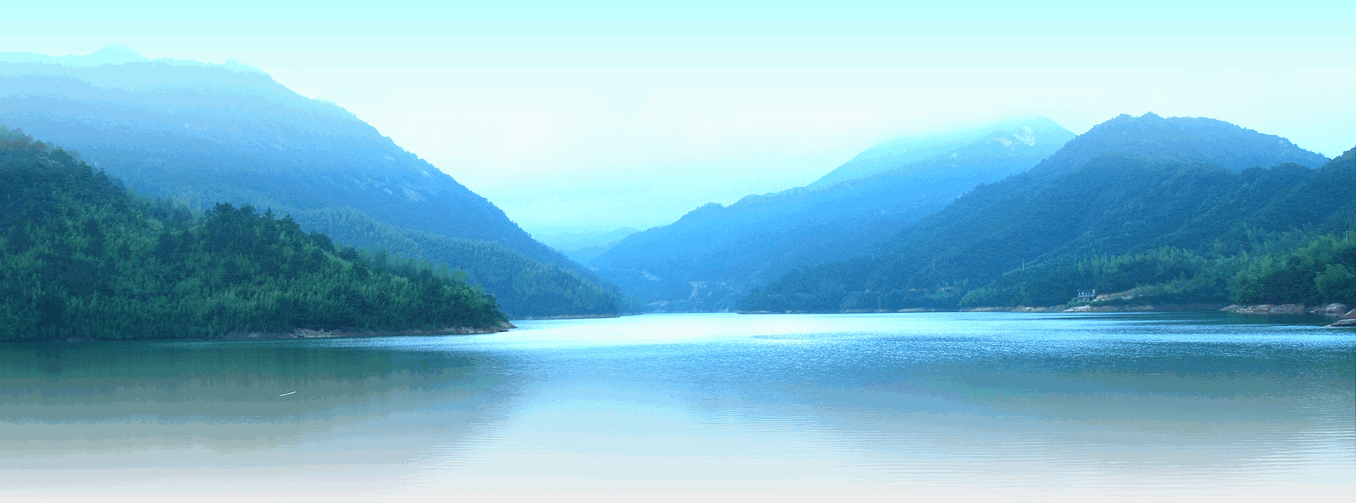 aa50e462-0c96-4d85-bd25-c9c04e5d58ba (1).png